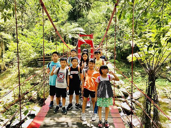 蕨類植物的天堂-雲仙樂園生態之旅