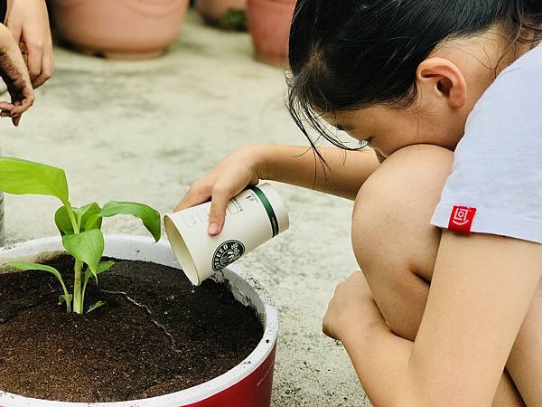 植物的構造與功能實作