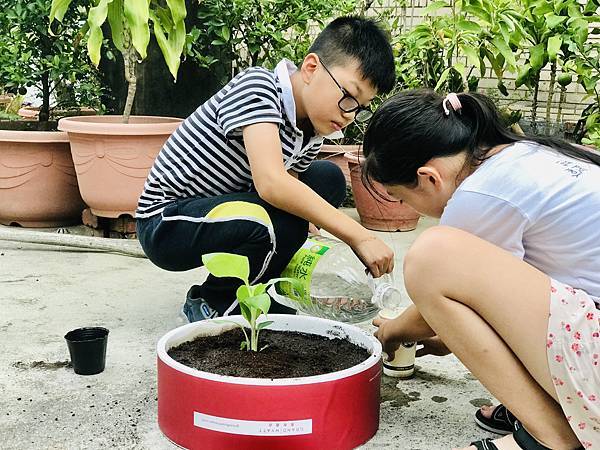 植物的構造與功能實作