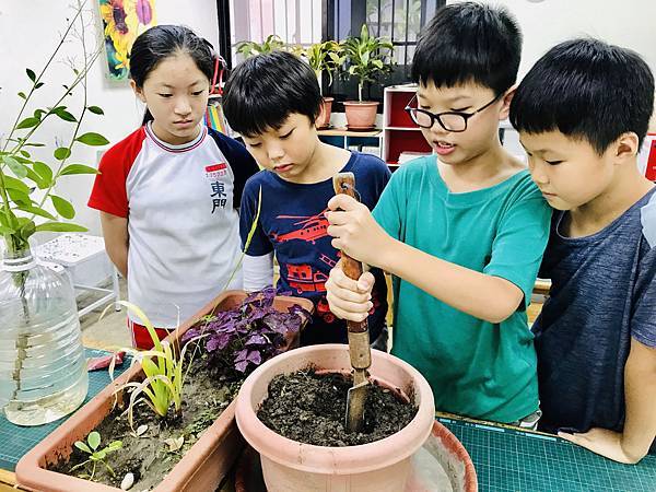 新竹市安親班-植物生態的研討與實作(5下自然)