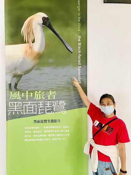 跟著國小課本遠足趣-台江國家公園( 4上自然 - 濱海生物 