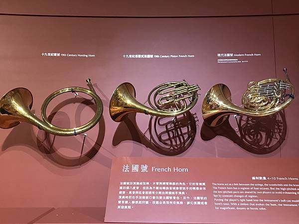 新竹市安親班-聲音與樂器(5下自然)