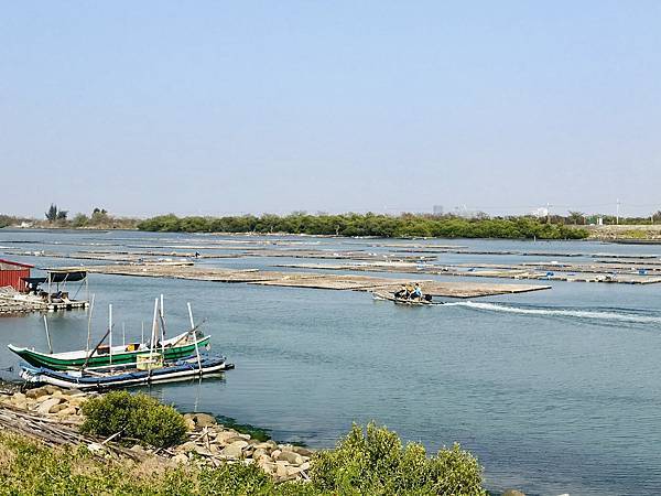 跟著國小課本遠足趣-台江國家公園( 4上自然 - 濱海生物 