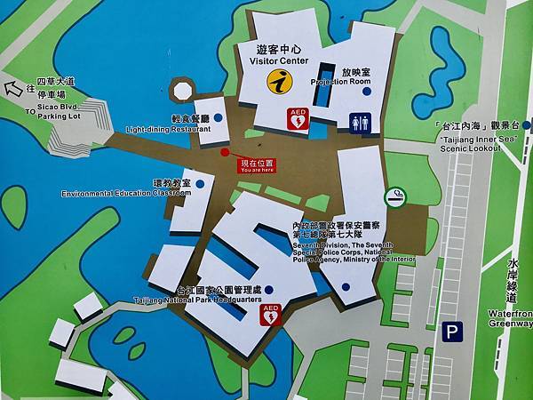 跟著國小課本遠足趣-台江國家公園( 4上自然 - 濱海生物 