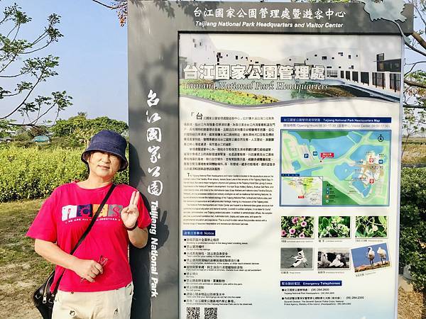 跟著國小課本遠足趣-台江國家公園( 4上自然 - 濱海生物 