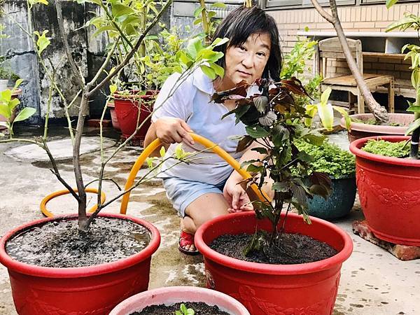 佑孳後花園生態教室