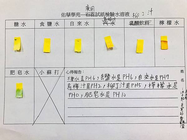 新竹市安親班-水溶液酸鹼值實驗-2(5上自然)