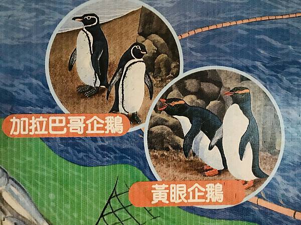 跟著自然課本遠足趣-木柵動物園~好好玩!