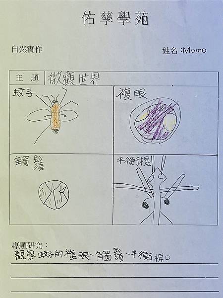 新竹市安親班-微觀世界 : 仿生教學