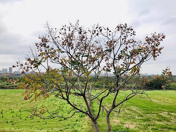 新竹市安親班-自然實作:時間的測量(四下自然)