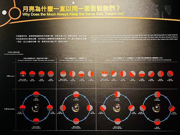 新竹市安親班-日、月、星辰(4上自然)