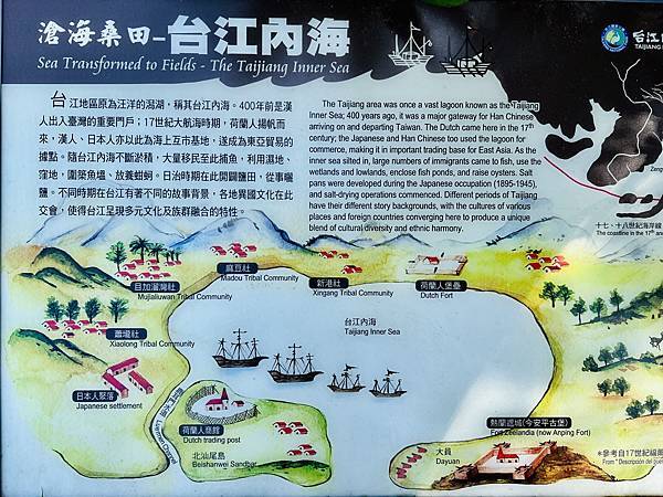 跟著國小課本遠足趣-台江國家公園( 4上自然 - 濱海生物 