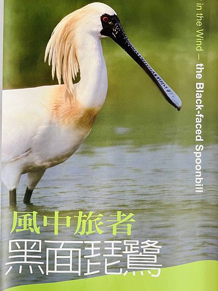 跟著國小課本遠足趣-台江國家公園( 4上自然 - 濱海生物 