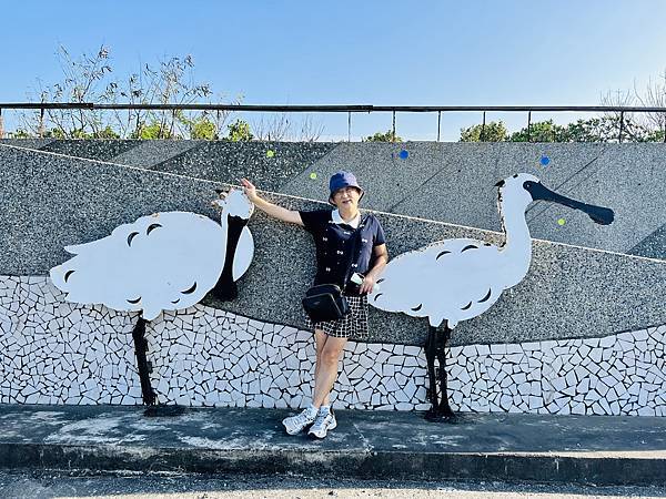 跟著國小課本遠足趣-台江國家公園( 4上自然 - 濱海生物 