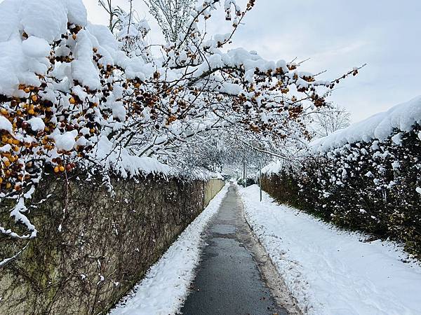 天氣的變化觀雲海 賞雪趣(6上自然)