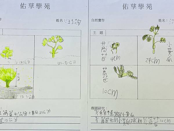 2023佑孳學苑夏令營