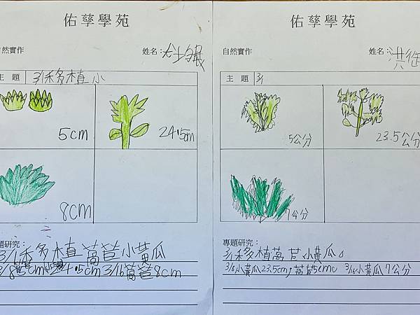 2023佑孳學苑夏令營