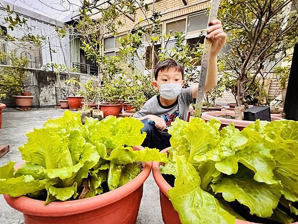 2023佑孳學苑夏令營