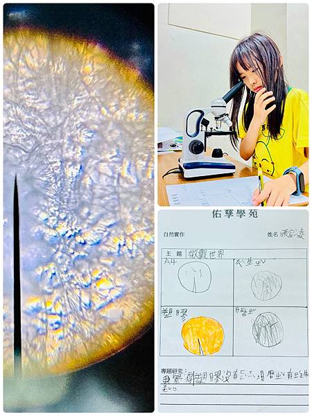 新竹市安親班-自然實作-千變萬化的水(3下自然)