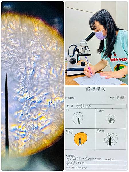 新竹市安親班-自然實作-千變萬化的水(3下自然)