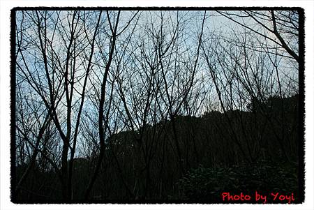 2011.02.25.清水寺07.JPG 2011.02.25.清水寺07.JPG