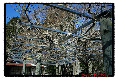 2011.02.26比叡山09.JPG 2011.02.26比叡山09.JPG