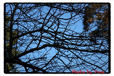 2011.02.26比叡山10.JPG 2011.02.26比叡山10.JPG