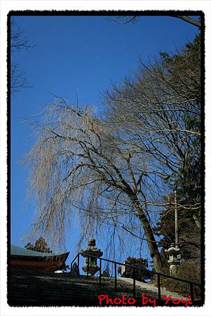 2011.02.26比叡山18.JPG 2011.02.26比叡山18.JPG