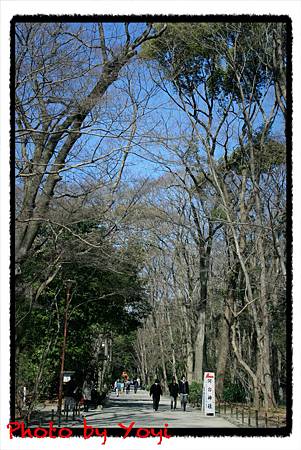 2011.02.26下鴨神社03.JPG