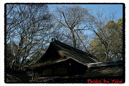 2011.02.26下鴨神社05.JPG