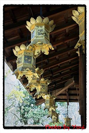 2011.02.26下鴨神社06.JPG