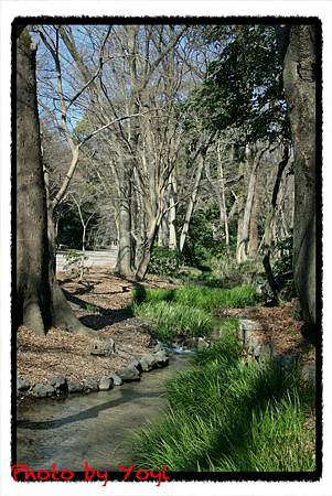 2011.02.26下鴨神社08.JPG 2011.02.26下鴨神社08.JPG