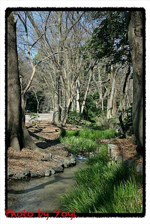 2011.02.26下鴨神社08.JPG