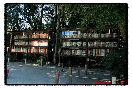 2011.02.26下鴨神社12.JPG