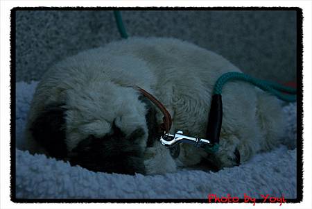 2011.02.26貴船。鞍馬10.JPG 2011.02.26貴船。鞍馬10.JPG