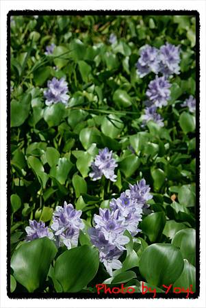 2010.10.03蘭陽博物館19.JPG 2010.10.03蘭陽博物館19.JPG