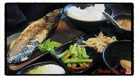 68鮮魚17 68鮮魚17
