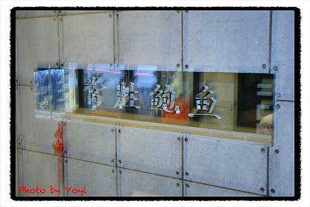 2012.02.26常勝鮑魚01 2012.02.26常勝鮑魚01