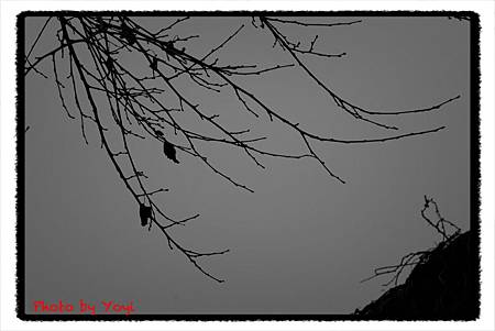 2012.02.26熊貓基地20 2012.02.26熊貓基地20