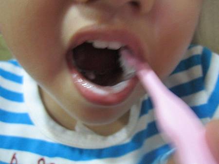 IMG_7627 試用