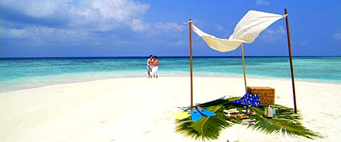 Coco Palm Bodu Hithi02.bmp.jpg