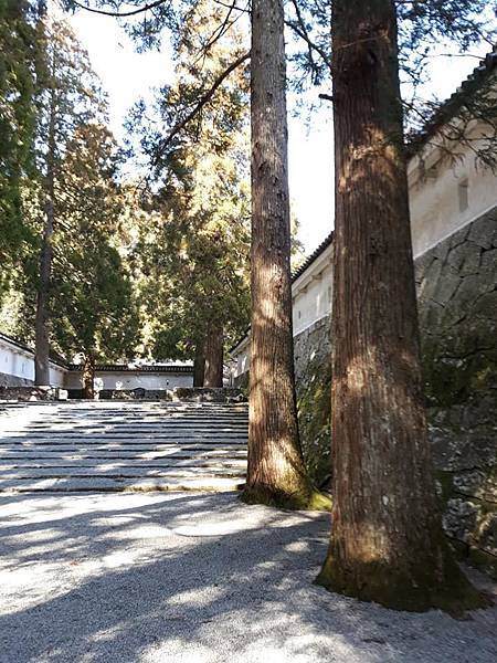 [日本參訪] 四半的–跪姿射箭 (九州飫肥城旁)