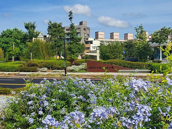 桃園平鎮 歷史意義指標性公園 / 設計感十足 / 平鎮必去景