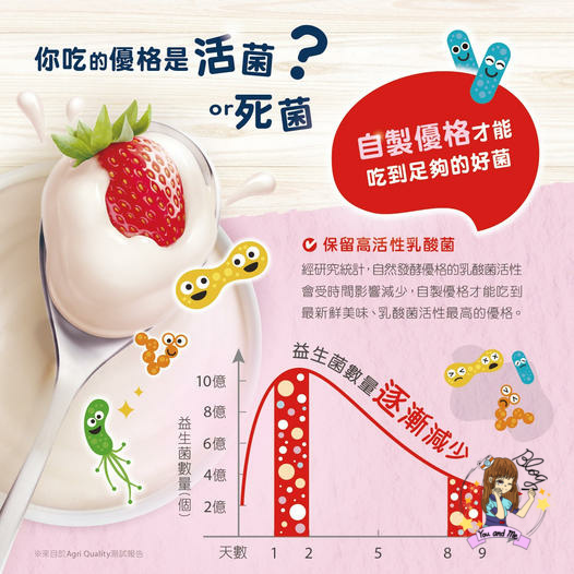 自製優格超簡單!! 免插電、免耗材、新手小白都能成功的自製優