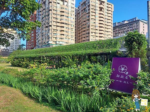 桃園市桃園區  一間沒有地址的城市秘境咖啡廳/在植物及花朵的