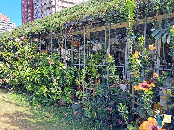 桃園市桃園區  一間沒有地址的城市秘境咖啡廳/在植物及花朵的