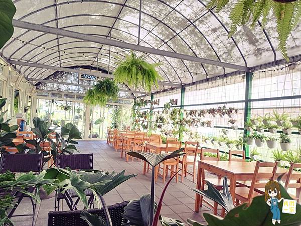 桃園市桃園區  一間沒有地址的城市秘境咖啡廳/在植物及花朵的