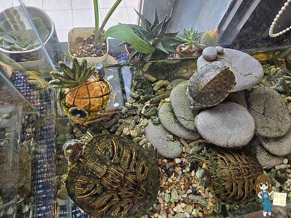 桃園中壢  落地玻璃窗迎接滿滿陽光，穀沐尼讓你在光影中品味豐