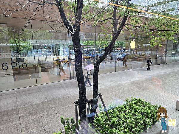 台北雙層觀光巴士下午茶:用美食與美景來場城市冒險