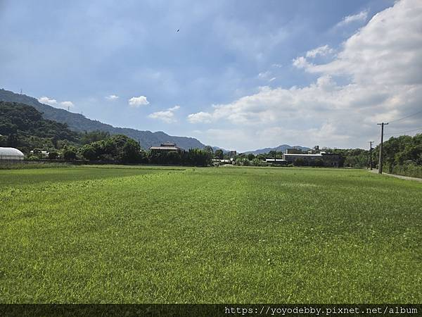 桃園大溪 手作青醬香、木作節奏響:大溪內柵的一日慢旅行 桃園大溪 手作青醬香、木作節奏響:大溪內柵的一日慢旅行